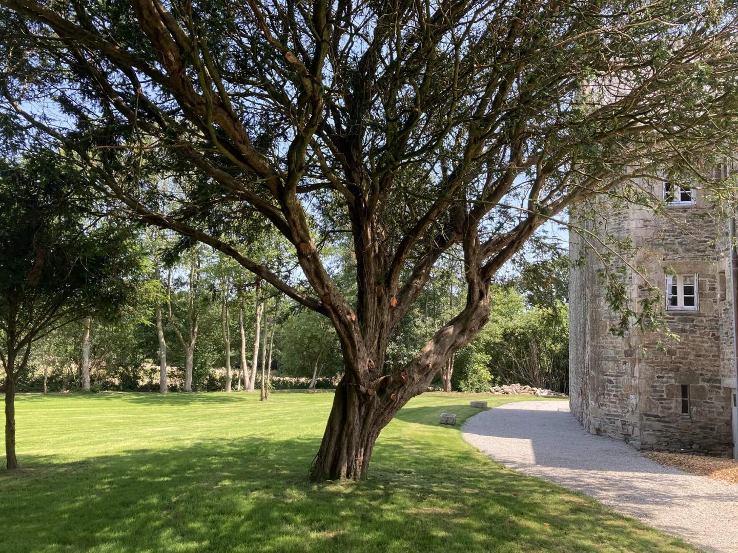 Le parc est orné de très beaux arbres