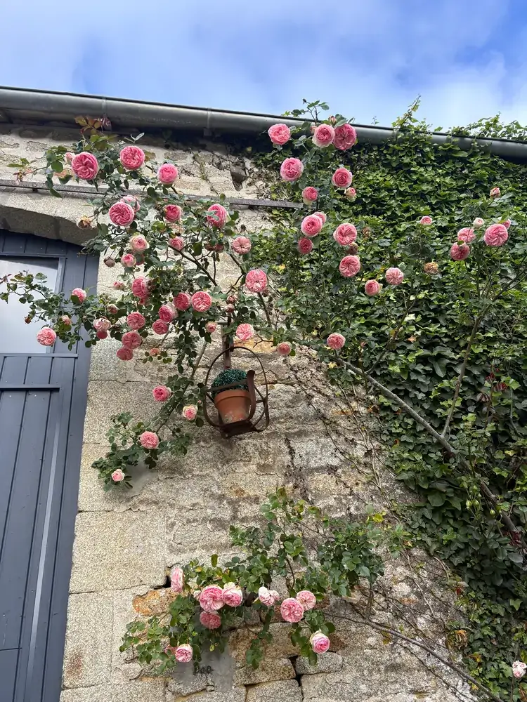 Le jardin
