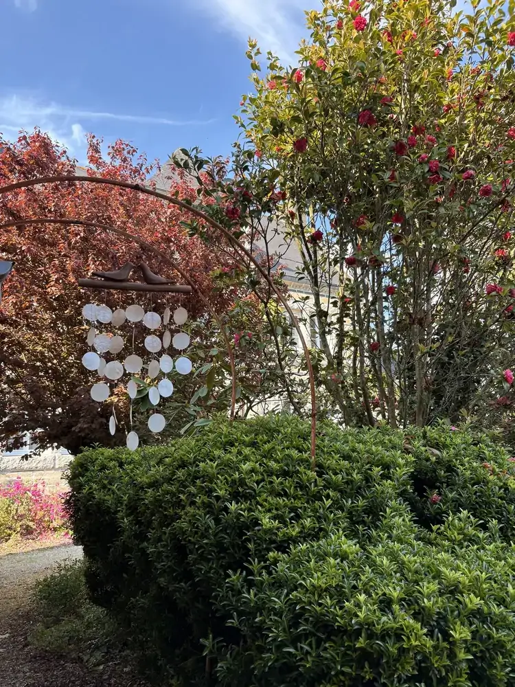 Le jardin